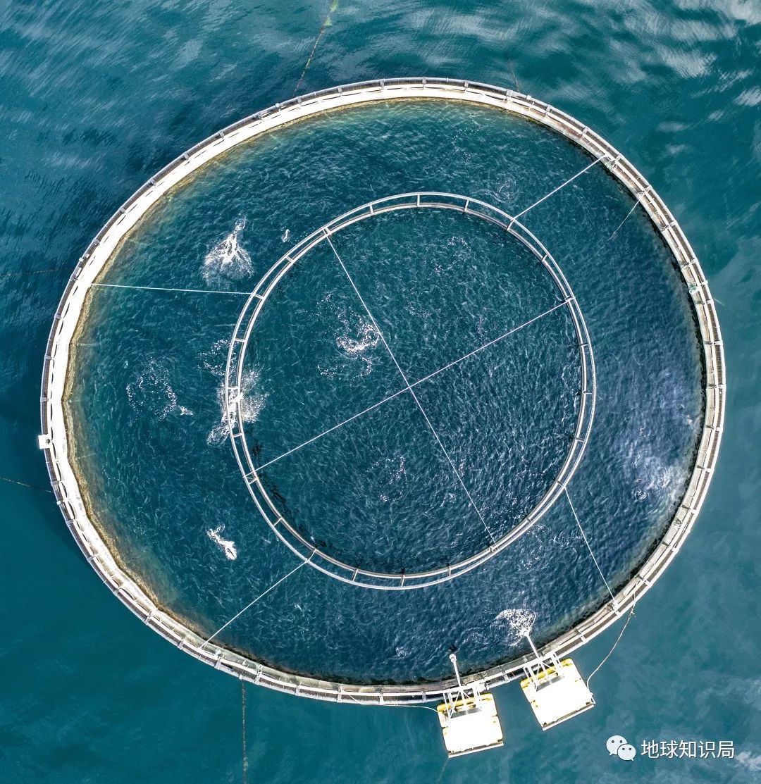 沿海人民是如何喂饱中国的？