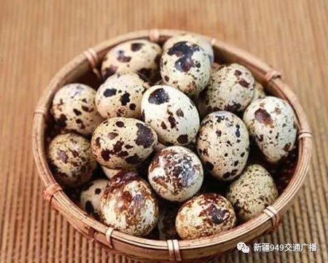 鸡蛋鹌鹑蛋鸭蛋鹅蛋哪个更有营养,鸡蛋鸭蛋鹅蛋鹌鹑蛋哪个最有营养