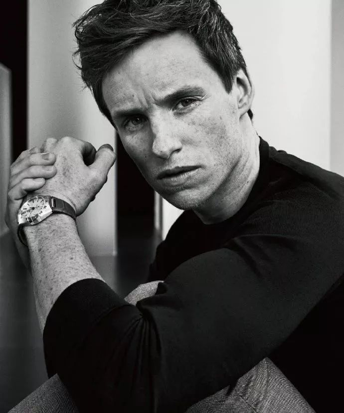 哈利波特奥斯卡颁奖,哈利波特奥斯卡入围