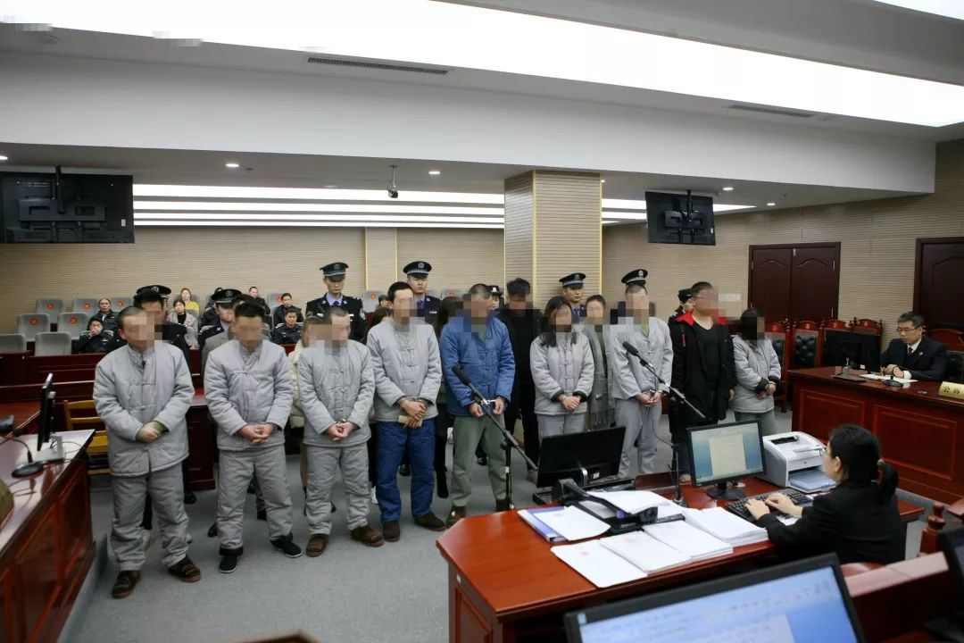 虚假网络投资理财类诈骗创意视频,制作诈骗网站的骗子被抓