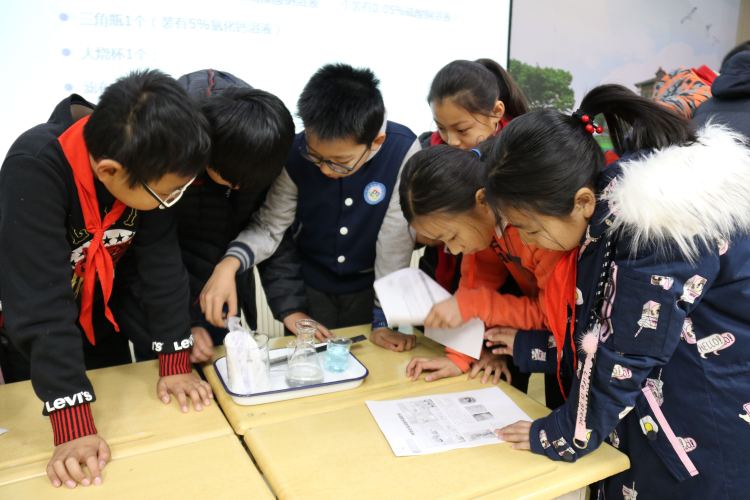 用神奇的魔法造梦七彩童年，青岛市实验小学举办庆元旦庆活动