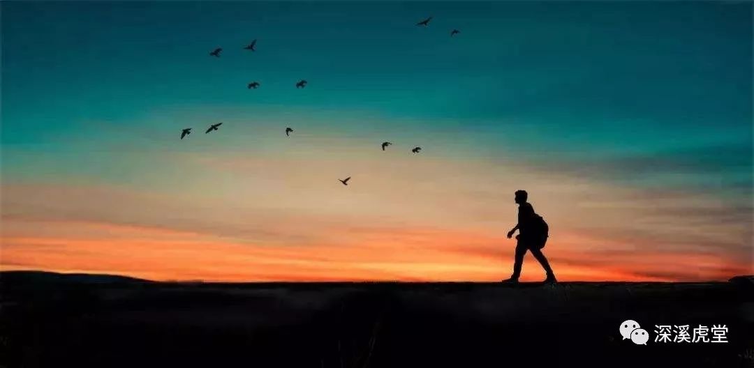 二零一九年好电影,最好看电影二零一九