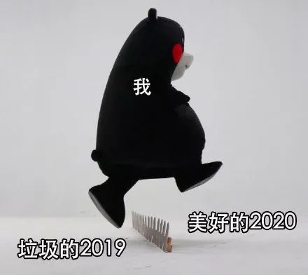 所有人的记忆都停留在了2019年,所有人你的2019年度总结请查收