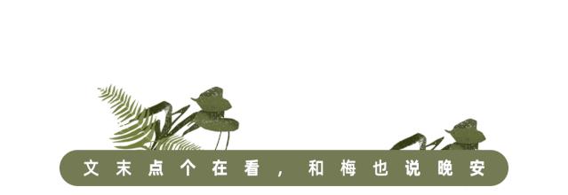 《麦田里的守望者》：一个人成熟的标志，是学会接纳和忍耐