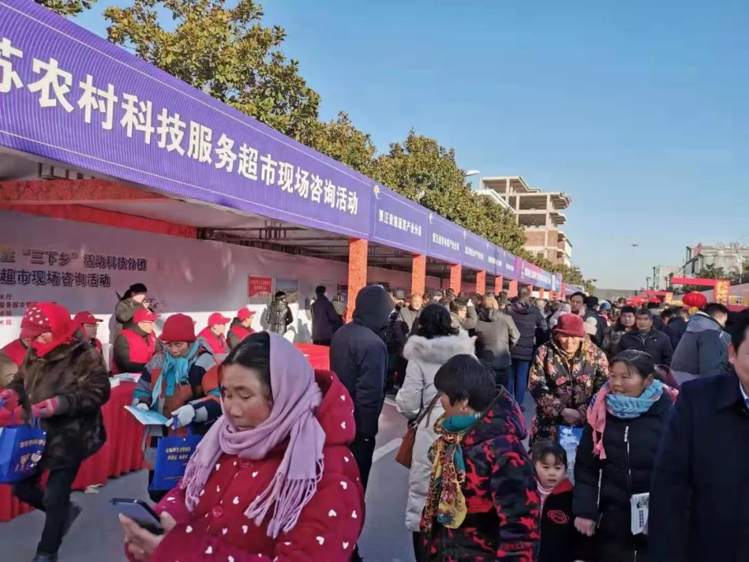 跨年！邳州144万群众与“三下乡”省、市艺术家们的一场特殊大集