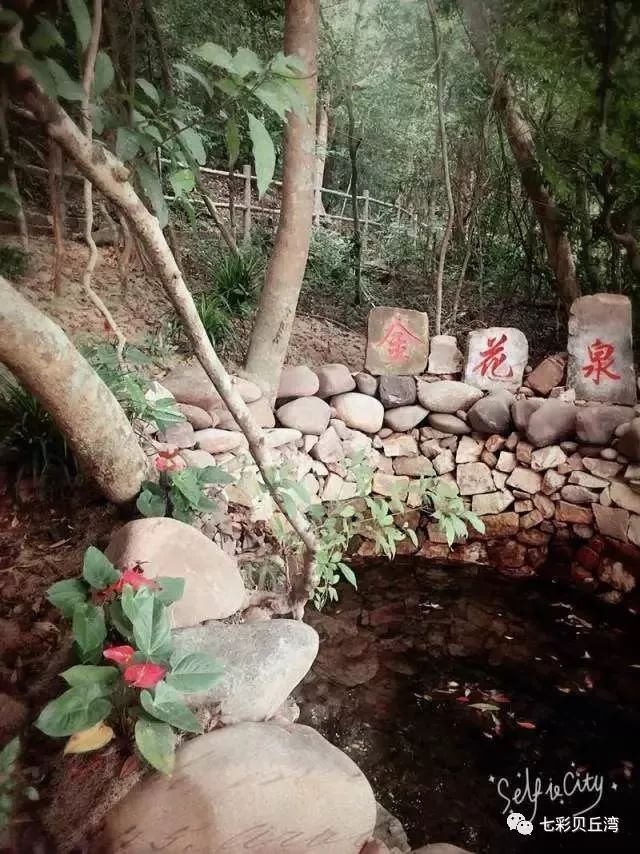 七彩贝丘湾海滩,七彩贝丘湾攻略