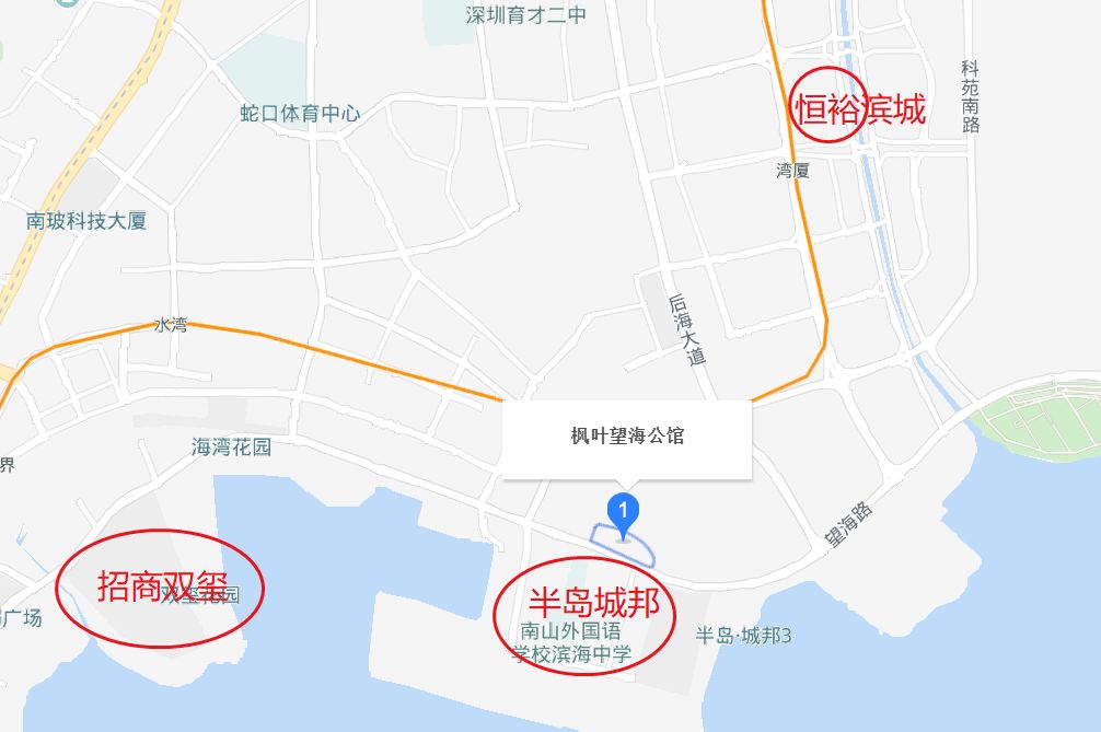 深圳湾新盘价格,深圳湾新楼盘最新价格