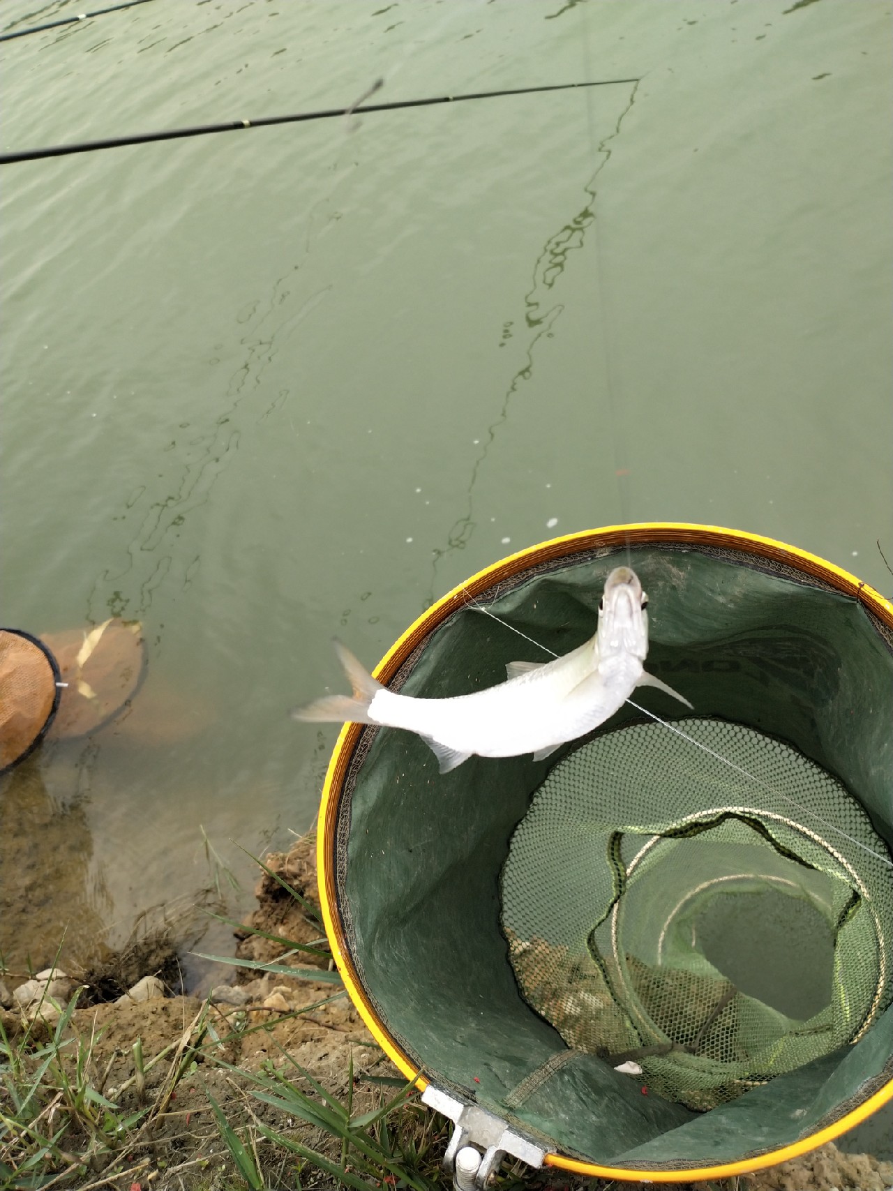 野钓水库位置真的很关键,野钓水库最佳位置图