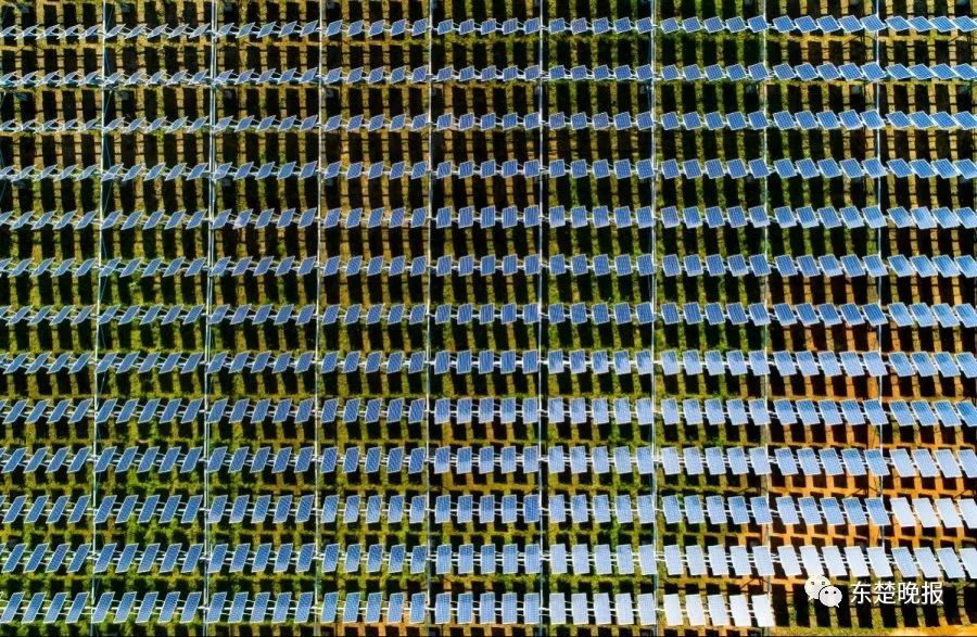 365天，行走3.2万千米，拍摄13万张照片！黄石人到底有多“野”？