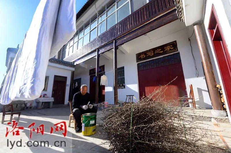 被央视点名！嵩县三合村变聚宝盆！