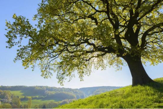 知人不评人知事不声张深度好文,知人不评人知事不声张的语句