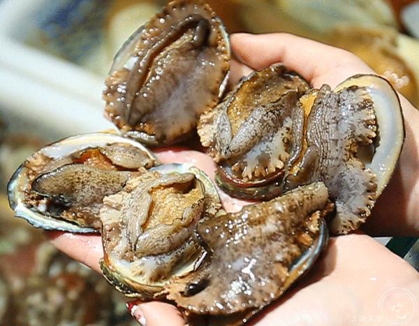 20道鲍鱼菜肴,12道火爆鲍鱼菜单及价格