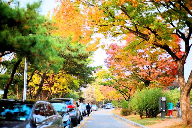 去韩国购物不超过多少钱,去韩国不美容不购物去哪里