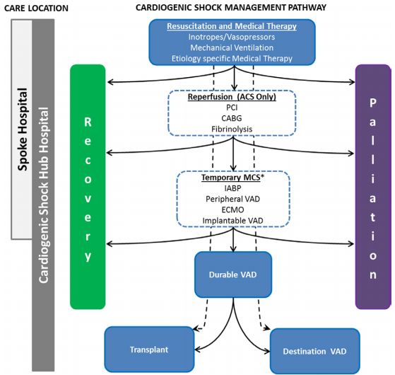 新冠心肌炎康复指南解读,aha心脏急救课程