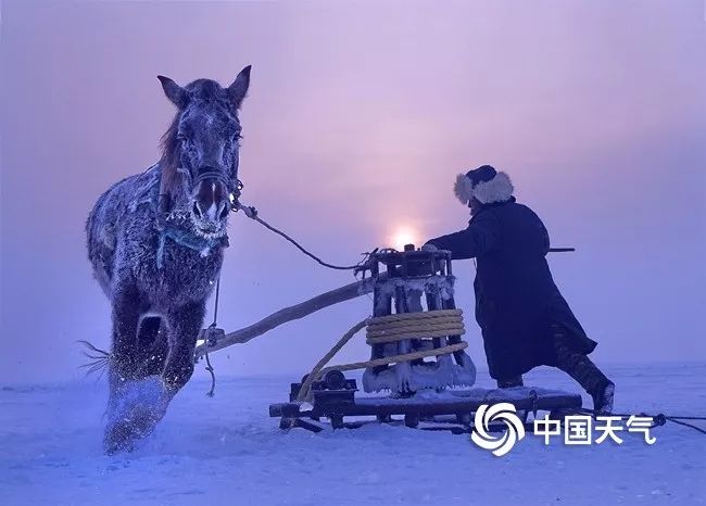 三九四九真的很冷科学依据,什么时候开始数九最冷