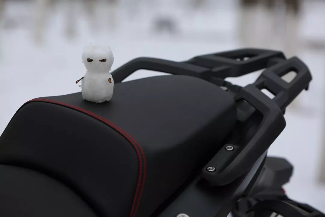 无极650gs拉力车,呆子隆鑫无极650拉力评测