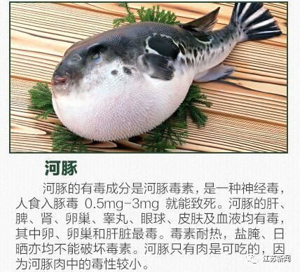 29斤鱼不翼而飞老板急到报警,29斤鱼不翼而飞老板却急到报警