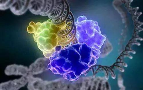 肺癌专家周彩存哪里人,周彩存谈肺癌治愈率最新