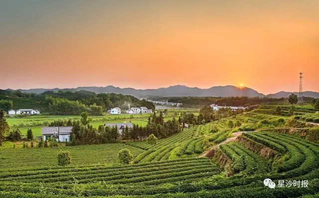 你好我叫长沙原版视频,你好我叫长沙县完整视频