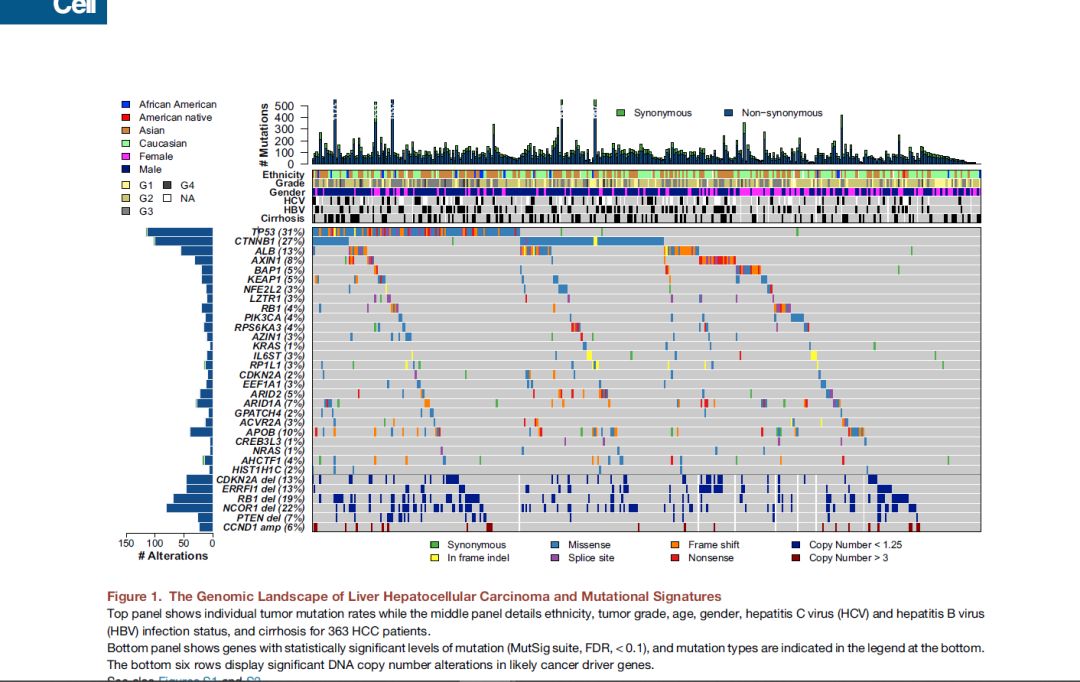 文献拍图工具,看文献截图软件