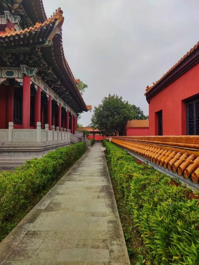 尼泊尔中华寺视频,尼泊尔蓝毗尼中华寺离韩国寺多远