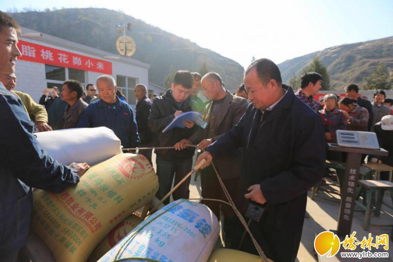 山货出村助力乡村,山货助农增收