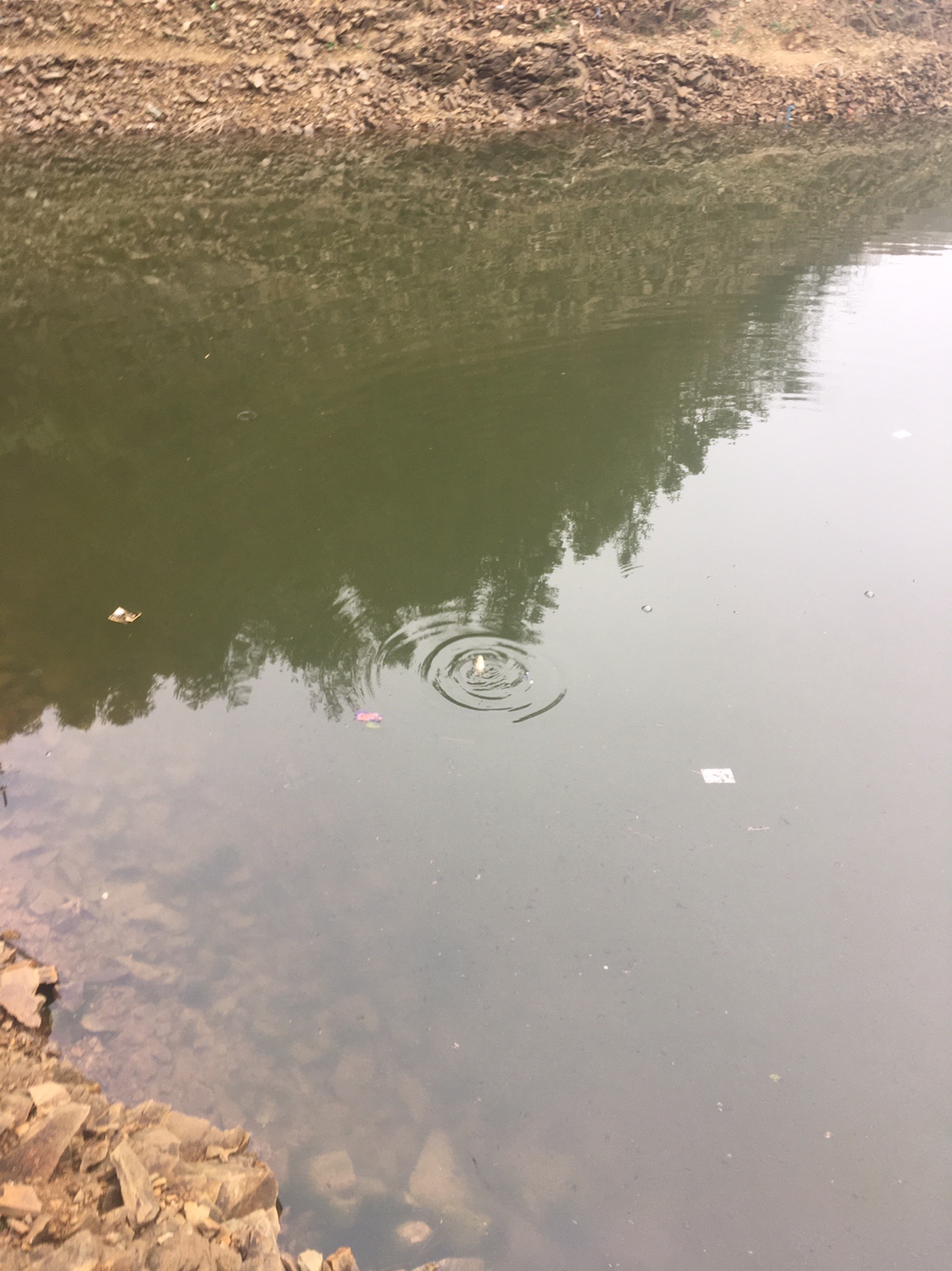 夏季小杂鱼闹窝怎么钓大板鲫,冬钓大板鲫如何避开小鱼