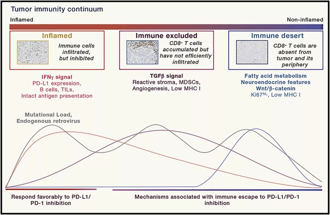 《细胞》子刊重磅：癌症免疫治疗的未来，这里有十个问题|奇点深度