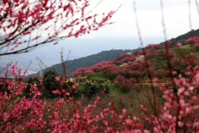 奉化旅游散客游线路,奉化的旅游线路推荐