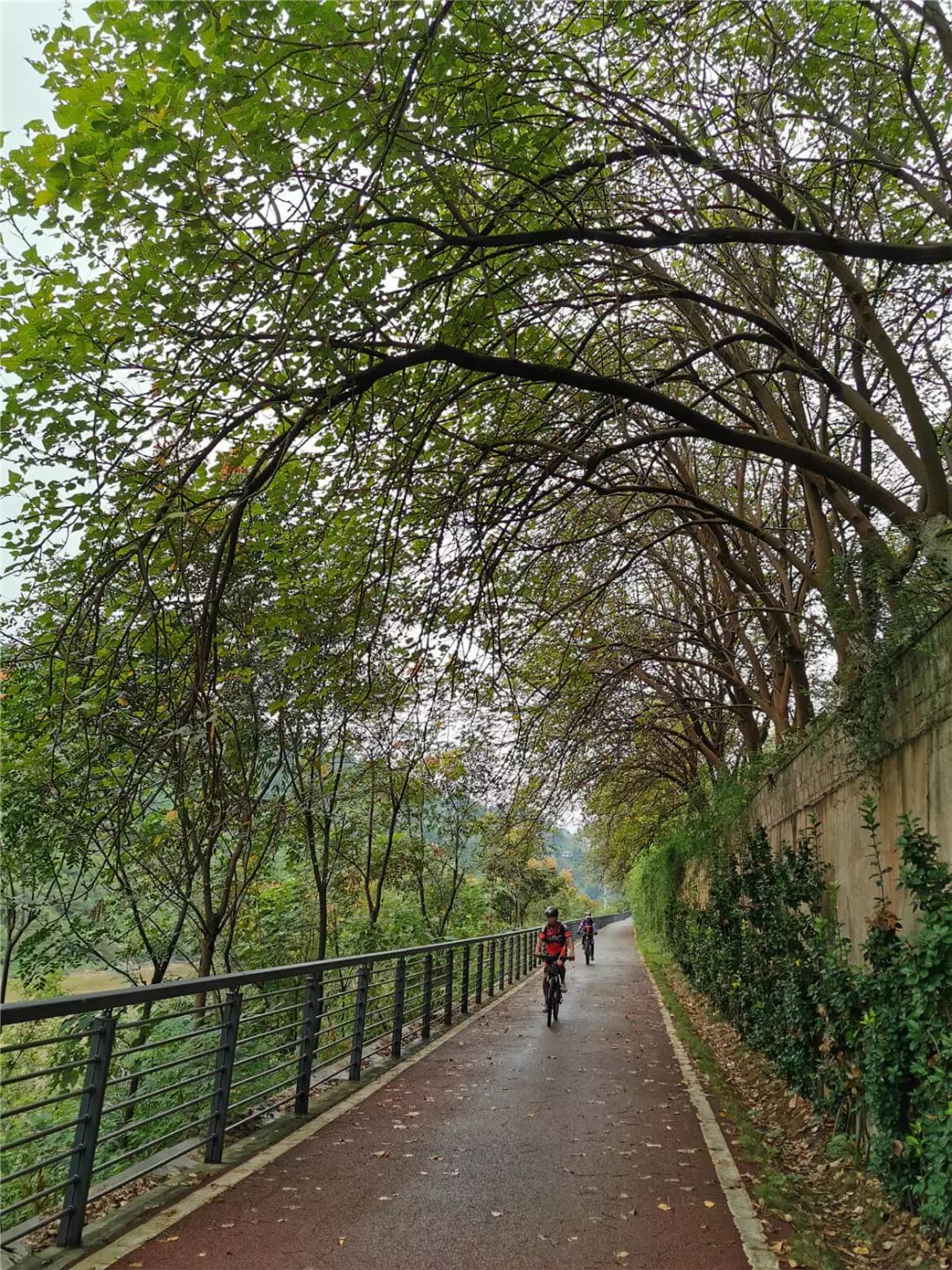 茅台到赤水骑行,赤水至茅台镇骑行栈道