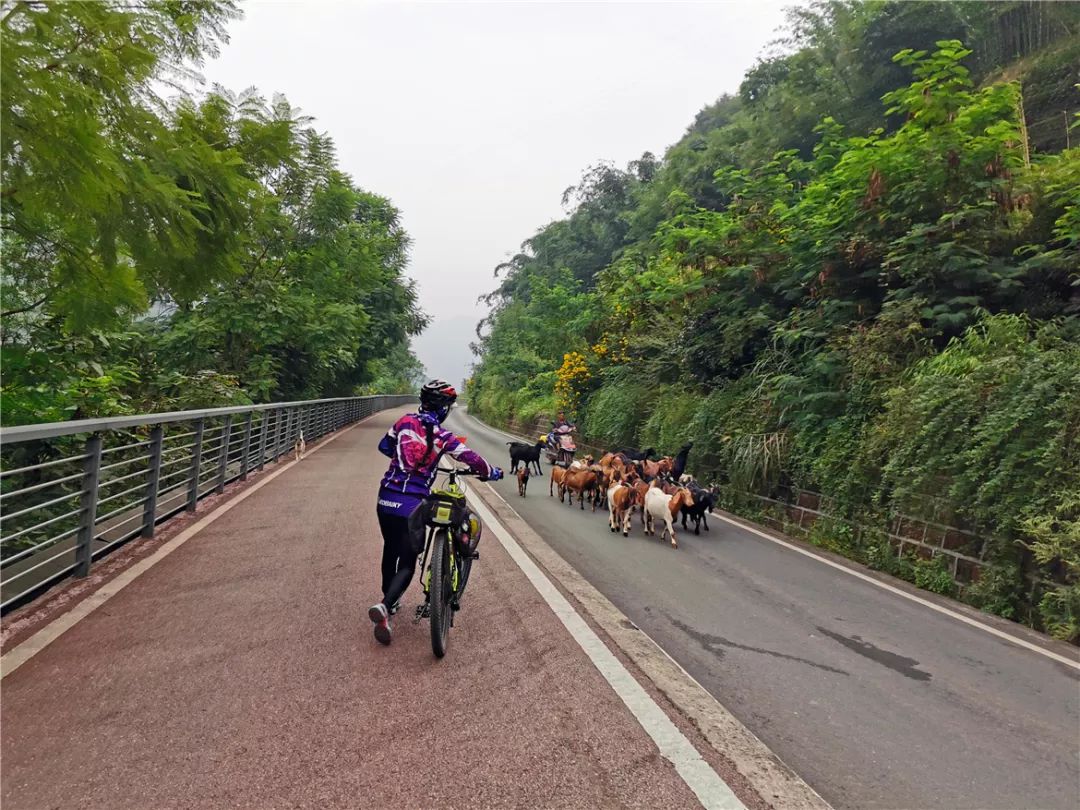 茅台到赤水骑行,赤水至茅台镇骑行栈道