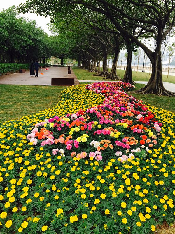 广州海珠区免费公园推荐,海珠区最近的公园