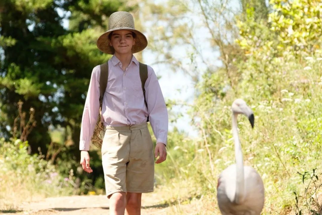 gucci100周年,gucci生日趴