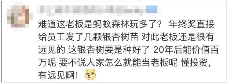 年终奖发个锤子发个鸡毛,年终奖老板给我发了个锤子