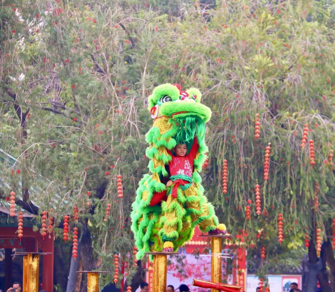 宝墨园醒狮表演,宝墨园醒狮舞龙