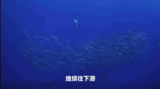 本来想去薅羊毛,却沉迷在这张“活的”地图上……