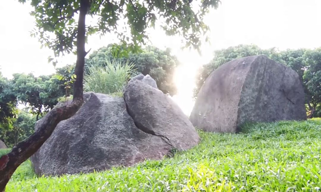 深圳市最新步道,深圳十佳绿道