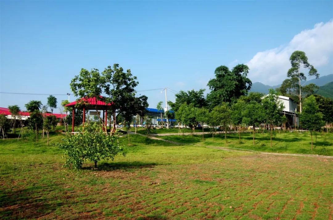 贵港市十大美丽乡村,广西贵港市美丽乡村排名