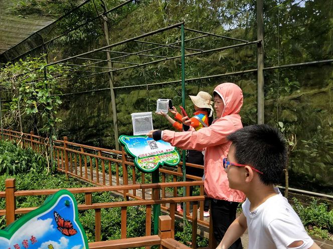 好玩的端午游活动,好玩的端午假期