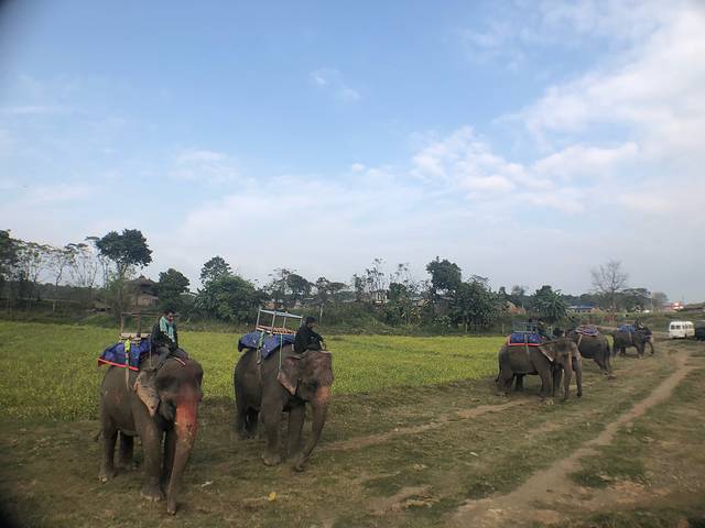 南亚国家旅行,南亚环球旅行