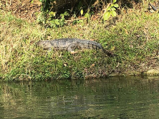 南亚国家旅行,南亚环球旅行