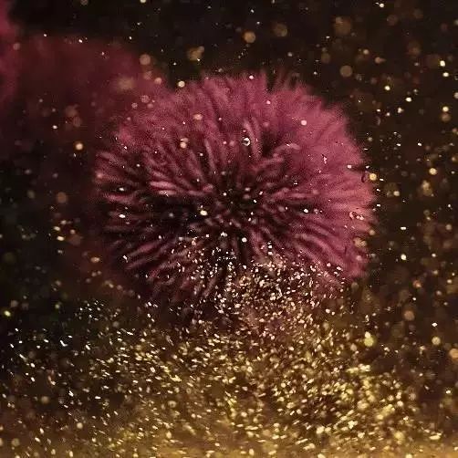 地表最强修复肌肤屏障,地表最强肌诊室