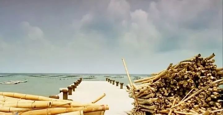 宅在家里挖掘我无限的潜能,适合宅在家看的电影风景片