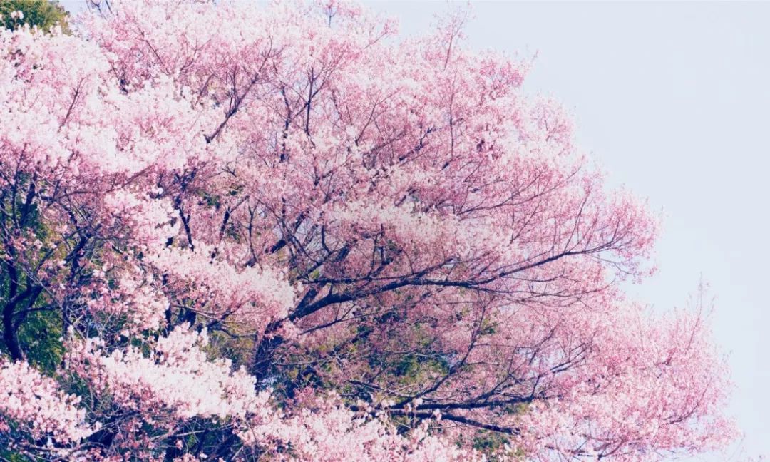 宅在家里也能拍出大自然风景,宅在家里挖掘自己的潜能