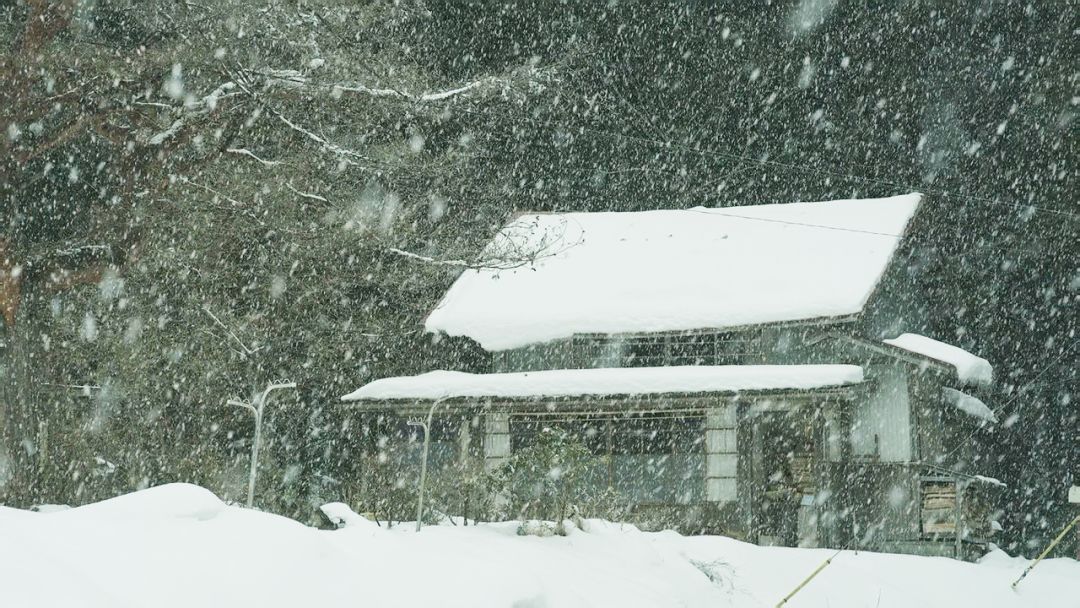宅在家里也能拍出大自然风景,宅在家里挖掘自己的潜能