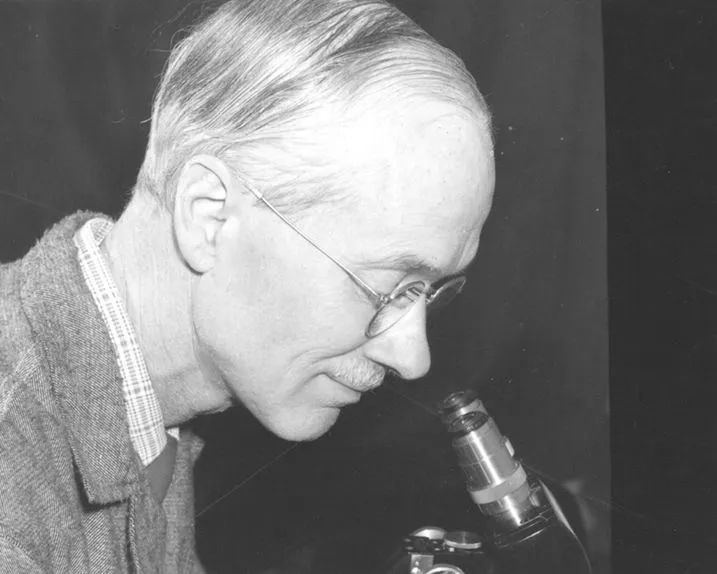 这个鼠年太难过了！再难，也不能没有鼠