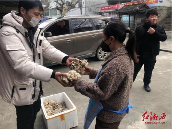 战“疫”丨凤凰：*党**员当“代购”，稳了民情，暖了民心