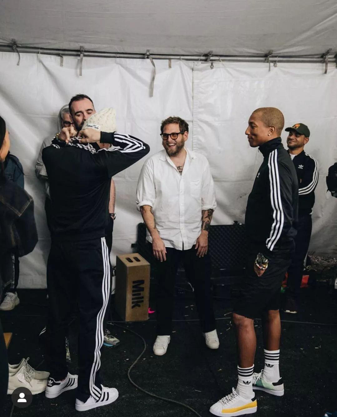 明星上脚款,明星都上脚的鞋