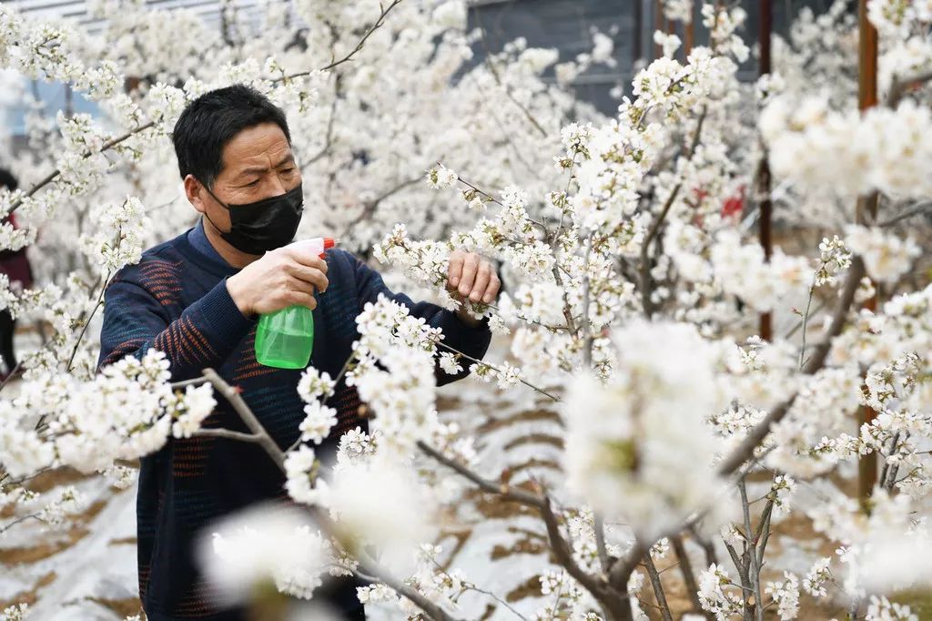 遇到诈骗电话是挂掉还是放任不管,接到诈骗电话就敲锅