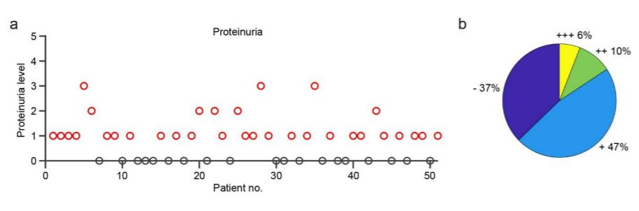 最新新冠病毒感染后果,新冠第二次感染死亡是不是谣言